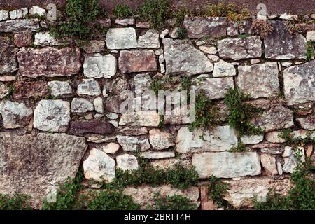 Rustic stone wall made of different stones with plants growing on it Stock Photo