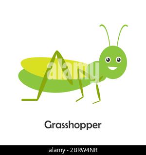 Grasshopper in cartoon style, insect card for kid, preschool activity for children, vector illustration Stock Vector