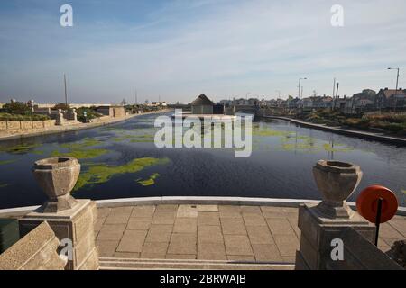 20th May 2020. Great Yarmouth. Restored boating lake at Great Yarmouth becoming blanketed in green algae, a common occurrence on lakes and ponds particularly when there is little movement. Like so many attractions at resorts around the country the Boating Lake will remain closed for the Spring Bank Holiday. Stock Photo