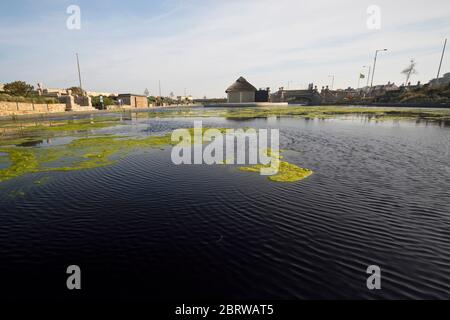 21st May 2020. Great Yarmouth. Restored boating lake at Great Yarmouth becoming blanketed in green algae, a common occurence on lakes and ponds particularly when there is little movement. Like so many attractions at resorts around the country the Boating Lake will remain closed for the Spring Bank Holiday. Stock Photo