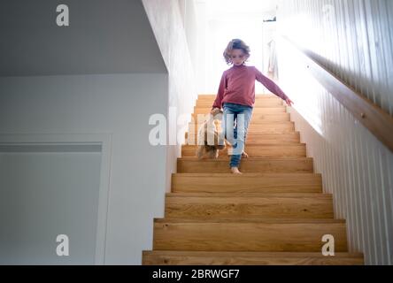 A cute small girl walking down wooden stairs indoors at home. Stock Photo