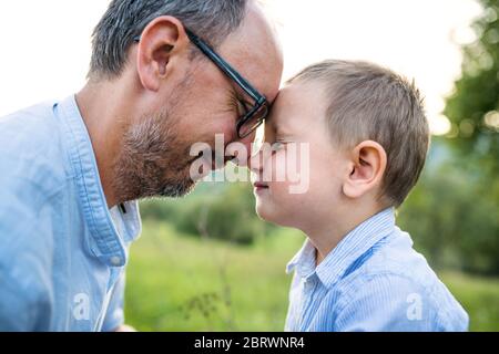 Father with small toddler son on meadow outdoors, hugging. Stock Photo