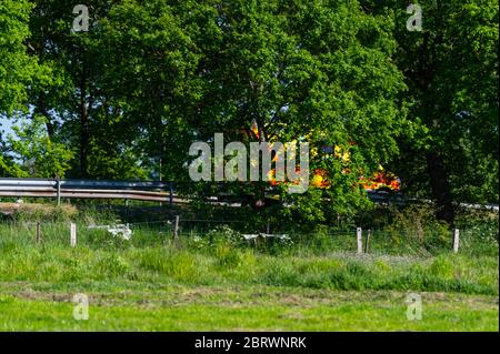 Bookholzberg  germany 21.05.2020: an emergency doctor's car drives past on a country road with an alarm Stock Photo