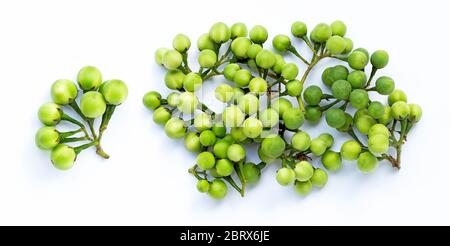 Turkey berry isolated on white background Stock Photo