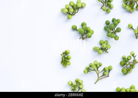 Turkey berry isolated on white background Stock Photo