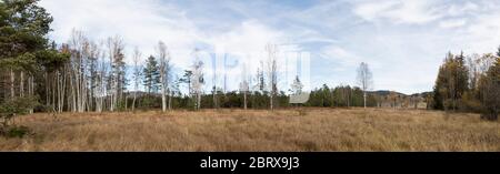 Landschaft im Boehmerwald Stock Photo