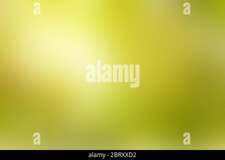 Green, Yellow gradient color abstract background. for backgrounds or wallpaper. Stock Photo