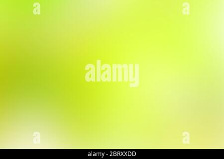 Green, Yellow gradient color abstract background. for backgrounds or wallpaper. Stock Photo