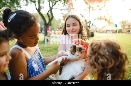 Small children outdoors in garden in summer, holding present pet cat.