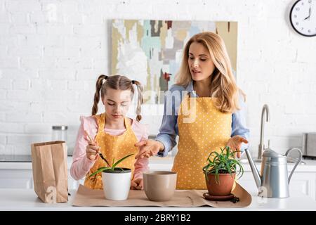 Cute child with mother holding shovel near table with paper bag, flowerpots with aloe and watering pot in kitchen Stock Photo