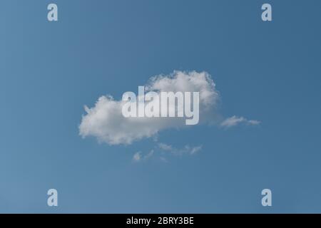 Single white cloud on blue sky background. Stock Photo