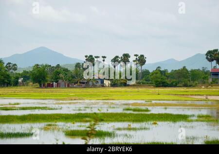 Scenic countryside with rice fields in Cambodia Stock Photo