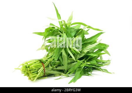 Water spinach or morning glory on white background Stock Photo