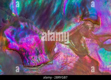 Natural abstract nacre shell colors, background texture Stock Photo