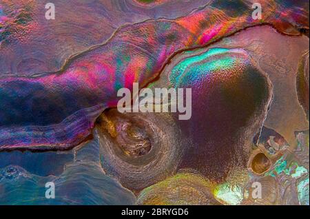Natural abstract nacre shell colors, background texture Stock Photo