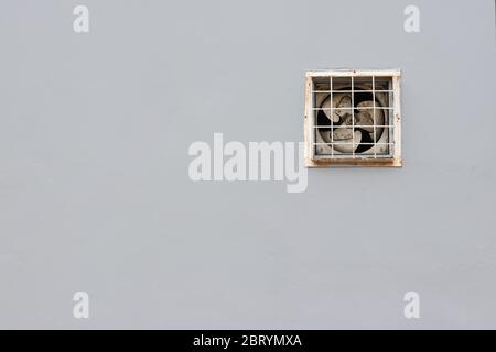 Ventilating fan installed on a gray wall. Stock Photo