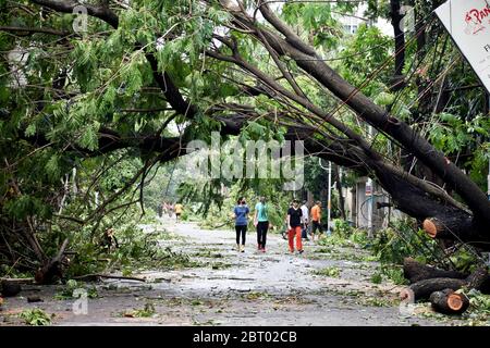 Kolkata, India. 21st May, 2020. After the devastating super Cyclone “Amphan”, at least 80 people have died in West Bengal, as per the state government. Minimum 5000 trees uprooted and 2500 trees in salt lake in Kolkata, India on May 21, 2020. Mobile, Internet Connectivity and water & power supply hampered after the supper cyclone. NDRF/Police/ Disaster Management Team working together to restore the city. PM Modi will visit & meet the chief minister today. (Photo by Sudipta Pan/Pacific Press/Sipa USA) Credit: Sipa USA/Alamy Live News Stock Photo