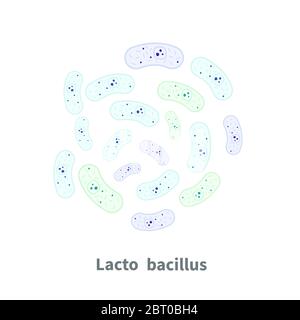 Lactobacillus probiotics on white Stock Vector