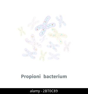 Propionibacterium probiotics on white Stock Vector