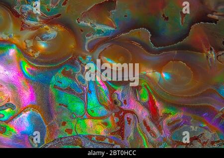 Natural abstract nacre shell colors, background texture Stock Photo