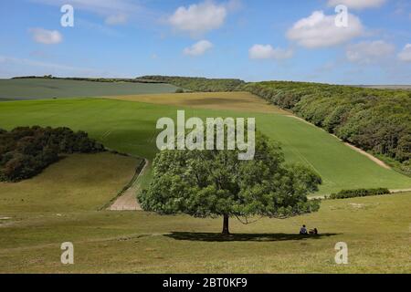 Friston, East Sussex, UK. 22nd May, 2020. A couple sit in the shade under a tree on the South Downs National Park near Friston Forest on a beautiful sunny day. Credit: James Boardman/Alamy Live News Stock Photo