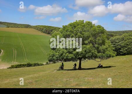 Friston, East Sussex, UK. 22nd May, 2020. Cyclists out exercising on the South Downs National Park near Friston Forest on a beautiful sunny day. Credit: James Boardman/Alamy Live News Stock Photo