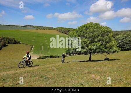 Friston, East Sussex, UK. 22nd May, 2020. Cyclists out exercising on the South Downs National Park near Friston Forest on a beautiful sunny day. Credit: James Boardman/Alamy Live News Stock Photo