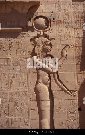 Temple of Edfu carvings on the West Bank of the Nile in Edfu, Egypt, North Africa Stock Photo