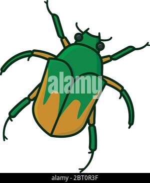 Junebug or June Beetle isolated vector illustration for Junebug Day on June 7th. Cotinis nitida color symbol. Stock Vector