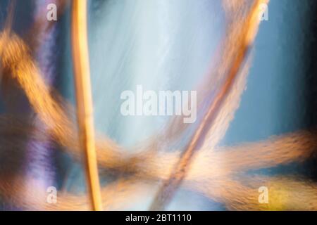 Macro shot of red copper wires behind a bluish glass surface Stock Photo
