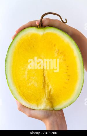 A yellow watermelon cut in half, held in the hand of a young woman, isolated on white. Stock Photo
