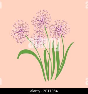 Image of a lilac onion flower on a pink background, in vector graphics. For the design of postcards, wallpapers, phone covers, notebooks, wrapping Stock Vector