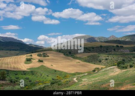 Idyllic landscape with rock mountains, agricultural land, harvested fields and blue sky with clouds. Stock Photo