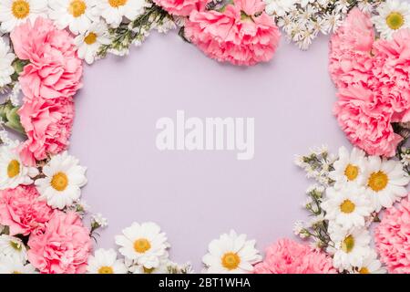 Border of pink carnation and daisy flowers in a lilac  background Stock Photo