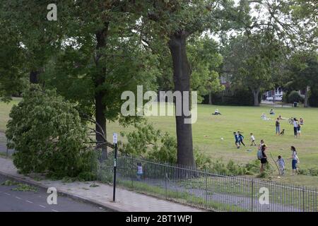 After a period of warm spring weather, and during the UK's government's Coronavirus continuing lockdown restrictions, when a total of 36,393 UK citizens are now reported to have lost their lives, strong gusts of wind brought down a large branch from a 100 year-old ash tree that fell across a well-used path during the lockdown in Ruskin Park, a public green space in the south London borough of Lambeth, on 22 May 2020, in London, England. No-one has been reported as hurt in the incident. Stock Photo