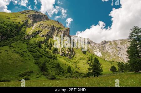 Beautiful Summer Day In Austrian Alps With Blue Sky White Clouds And Large Green Meadow. Stock Photo