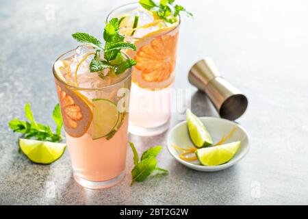Grapefruit and lime mojito Stock Photo