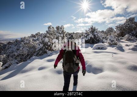 Woman hiking in Grand Canyon National Park, Arizona, USA Stock Photo