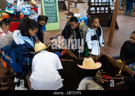 Harrisburg, PA / USA - January 9, 2020: Young children play and dig in the dirt at the Pennsylvania Farm Show. Stock Photo