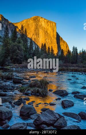 The monolith of El Capitan photographed in late afternoon autumn light from a bend in the Merced River in Yosemite Valley, Yosemite National Park, Cal Stock Photo