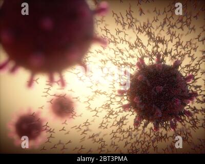 Illustration of antibodies (y-shaped) responding to an infection with the new coronavirus SARS-CoV-2 (round). The virus emerged in Wuhan, China, in De Stock Photo