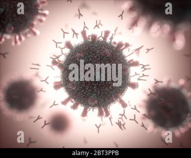 Illustration of antibodies (y-shaped) responding to an infection with the new coronavirus SARS-CoV-2 (centre). The virus emerged in Wuhan, China, in D Stock Photo