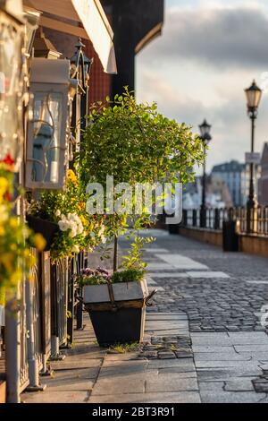 Tree in a pot at pavement street at early morning in European city Stock Photo