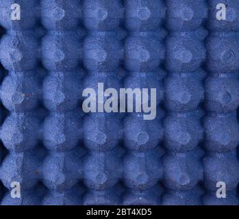 empty blue protective tray for raw chicken eggs with cells, full frame, close up Stock Photo