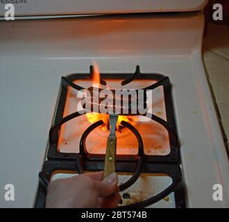 A hand holding a folk and roasting two hotdogs over the burner of a gas oven. Stock Photo