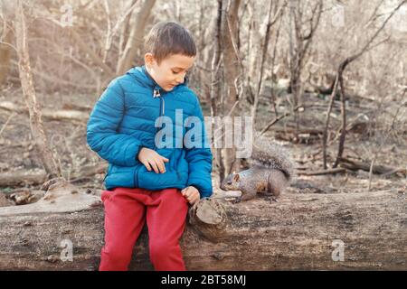 Cute Caucasian boy feeding grey squirrel in park. Adorable little kid giving food nuts to wild animal in forest. Child learning studying wild nature Stock Photo