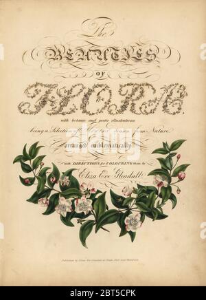 Calligraphic title page with botanical vignette. Handcoloured lithograph by Dean and Munday after Eliza Eve Gleadall from her self-published The Beauties of Flora, with botanic and poetic illustrations, being a selection of flowers drawn from nature arranged emblematically, Heath Hall, Wakefield, 1834. Stock Photo