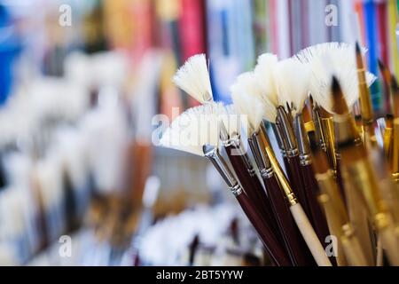 Various brushes on shelf in art shop Stock Photo