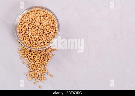 Spice coriander in a glass plate and sprinkled on a gray background Stock Photo