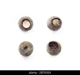 set of Chinese dark tea Pu-erh packed in dried mandarin peel isolated on white background the view from the top, flat lay Stock Photo